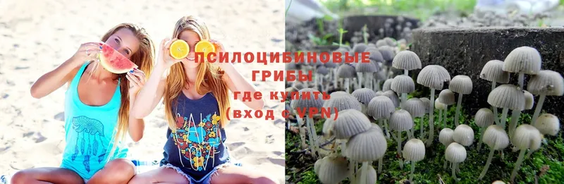 Псилоцибиновые грибы MAGIC MUSHROOMS  blacksprut   Уяр  где найти  